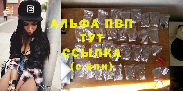 стаф Семилуки